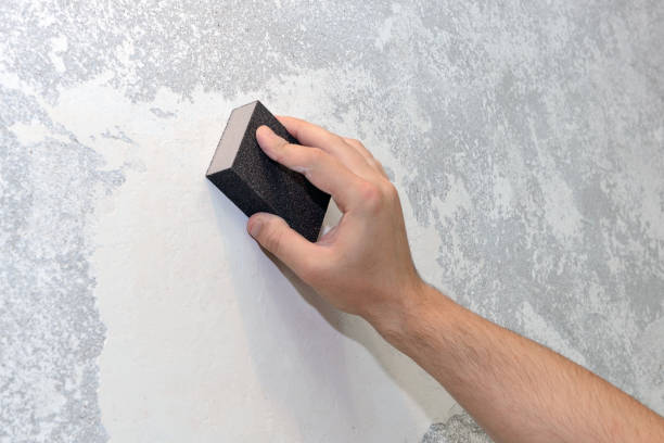 Best Comprehensive Air Testing for Mold Contaminants  in Hopewell, TN
