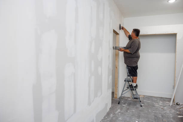 Best Basement Mold Removal  in Hopewell, TN